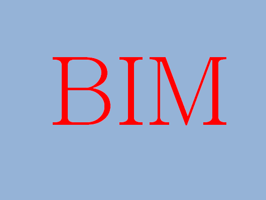 BIM咨询