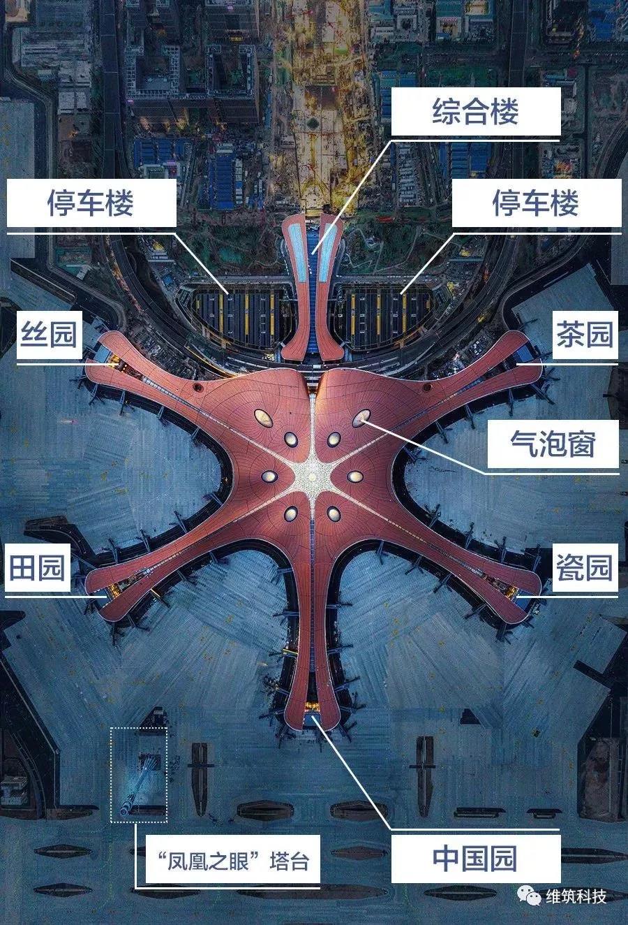 北京大兴机场构造图片